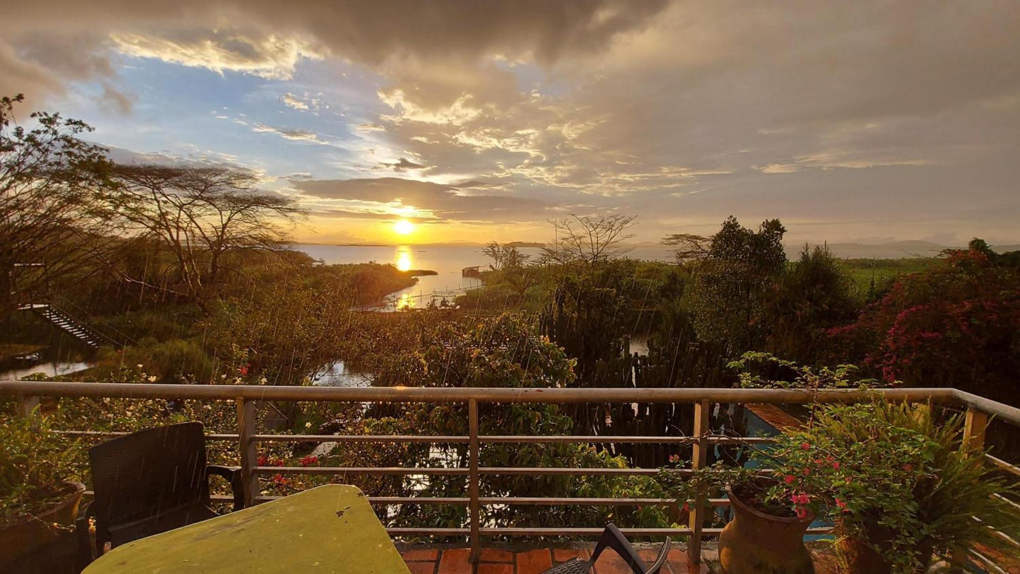 Yellow Haven Lodge Kampala Exteriér fotografie