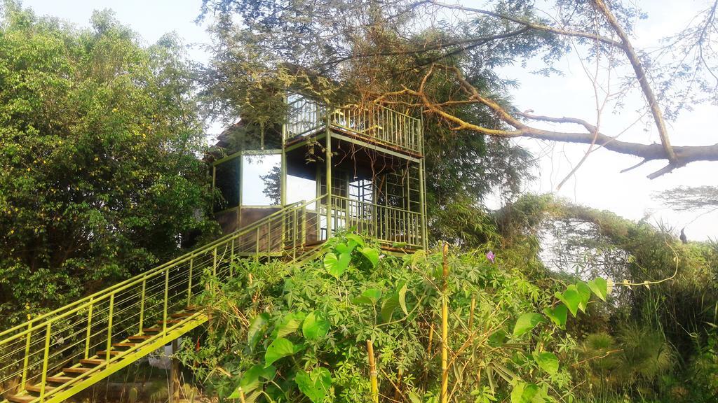 Yellow Haven Lodge Kampala Exteriér fotografie